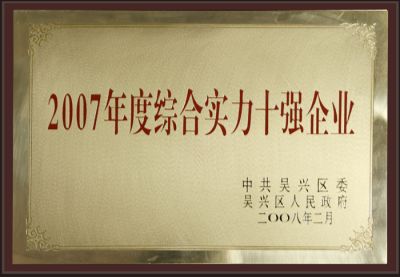 2007年度綜合實力十強企業(yè)